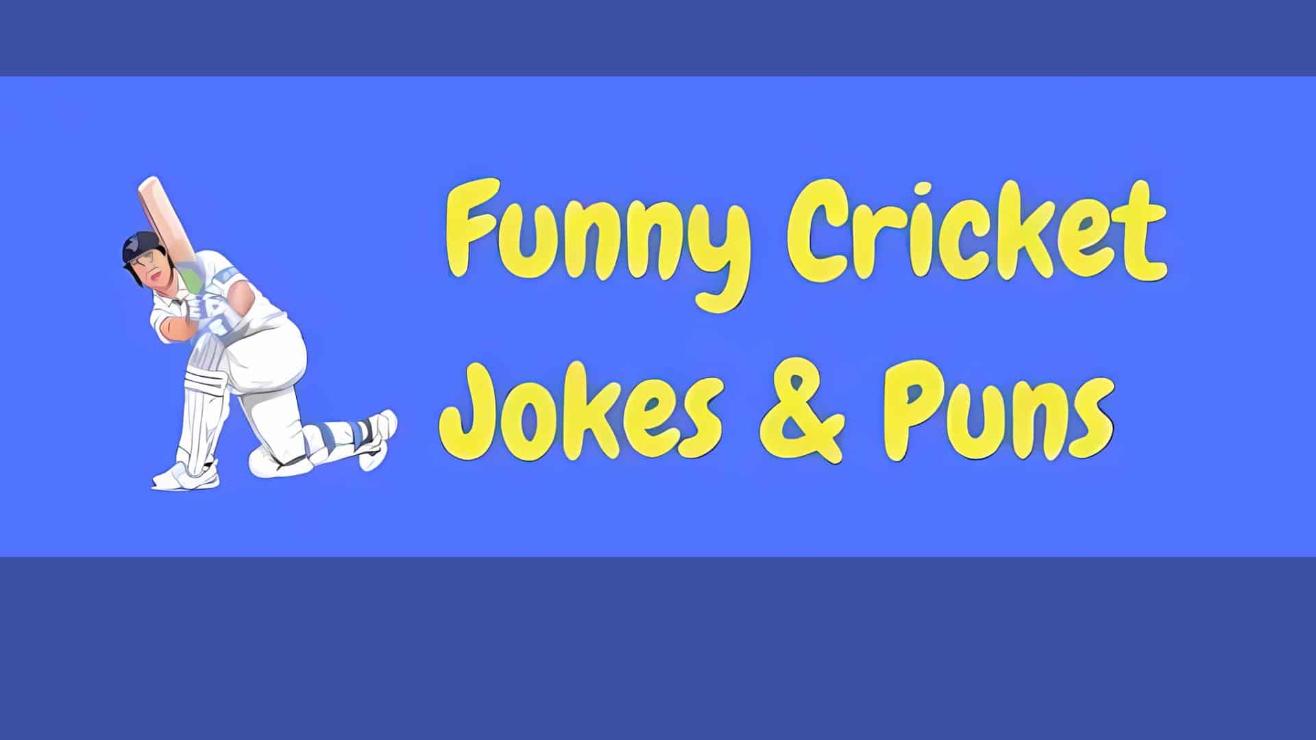 171+ Super Funniest Cricket Puns Guaranteed to Hit a Six - Meredith Plays