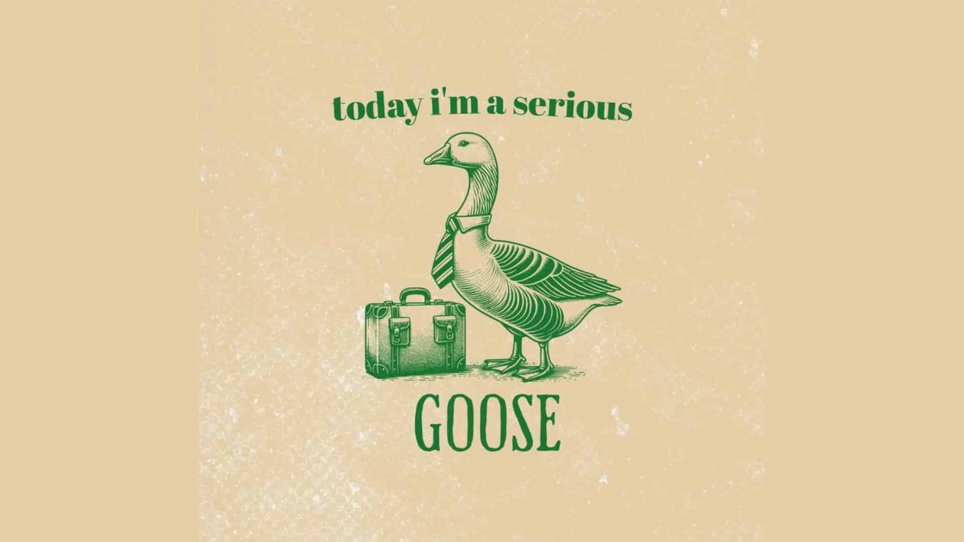 251+ Goose Puns That Will Quack You Up - Meredith Plays