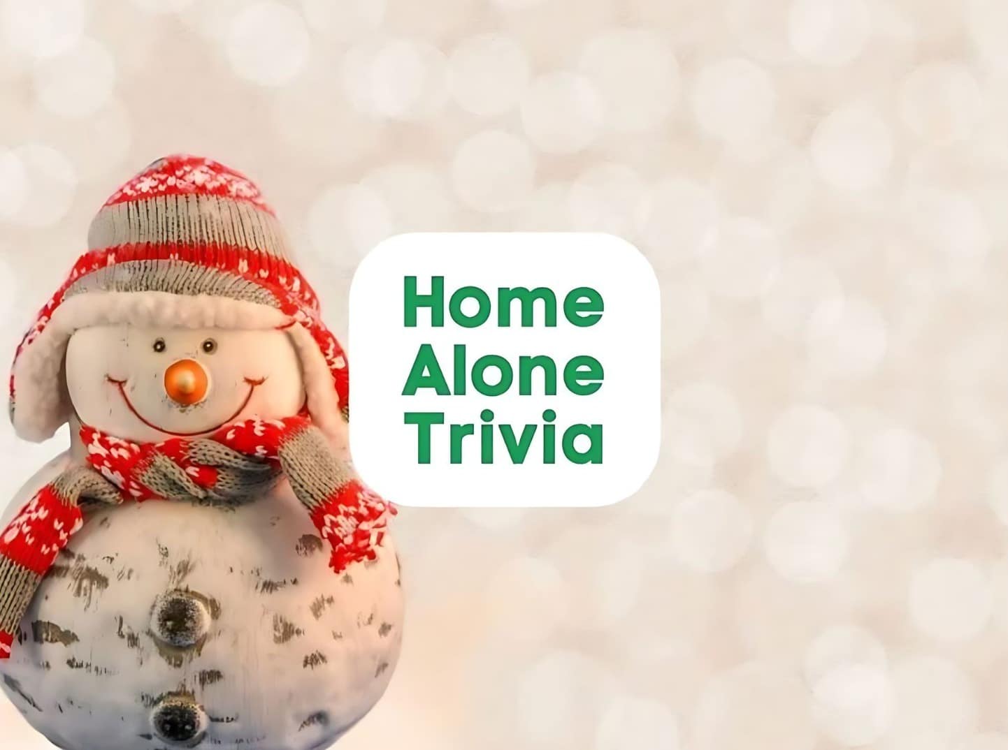 227+ Ultimate Home Alone Trivia Quiz - Meredith Plays