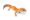 Tangerine_Leopard_Gecko