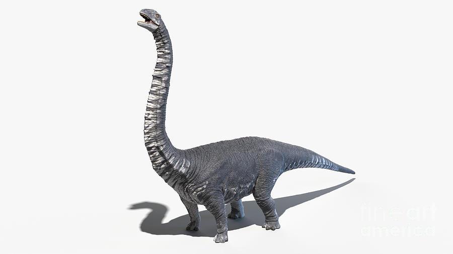 Argentinosaurus