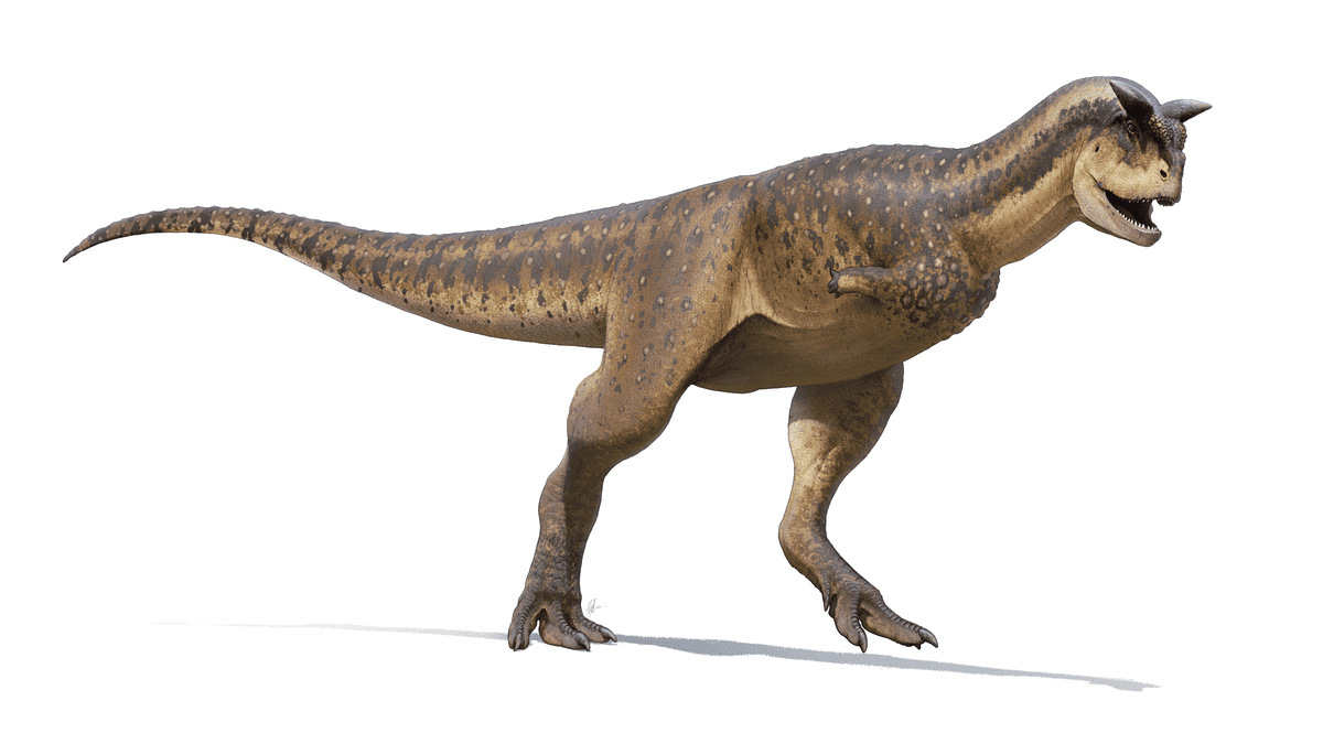 Carnotaurus