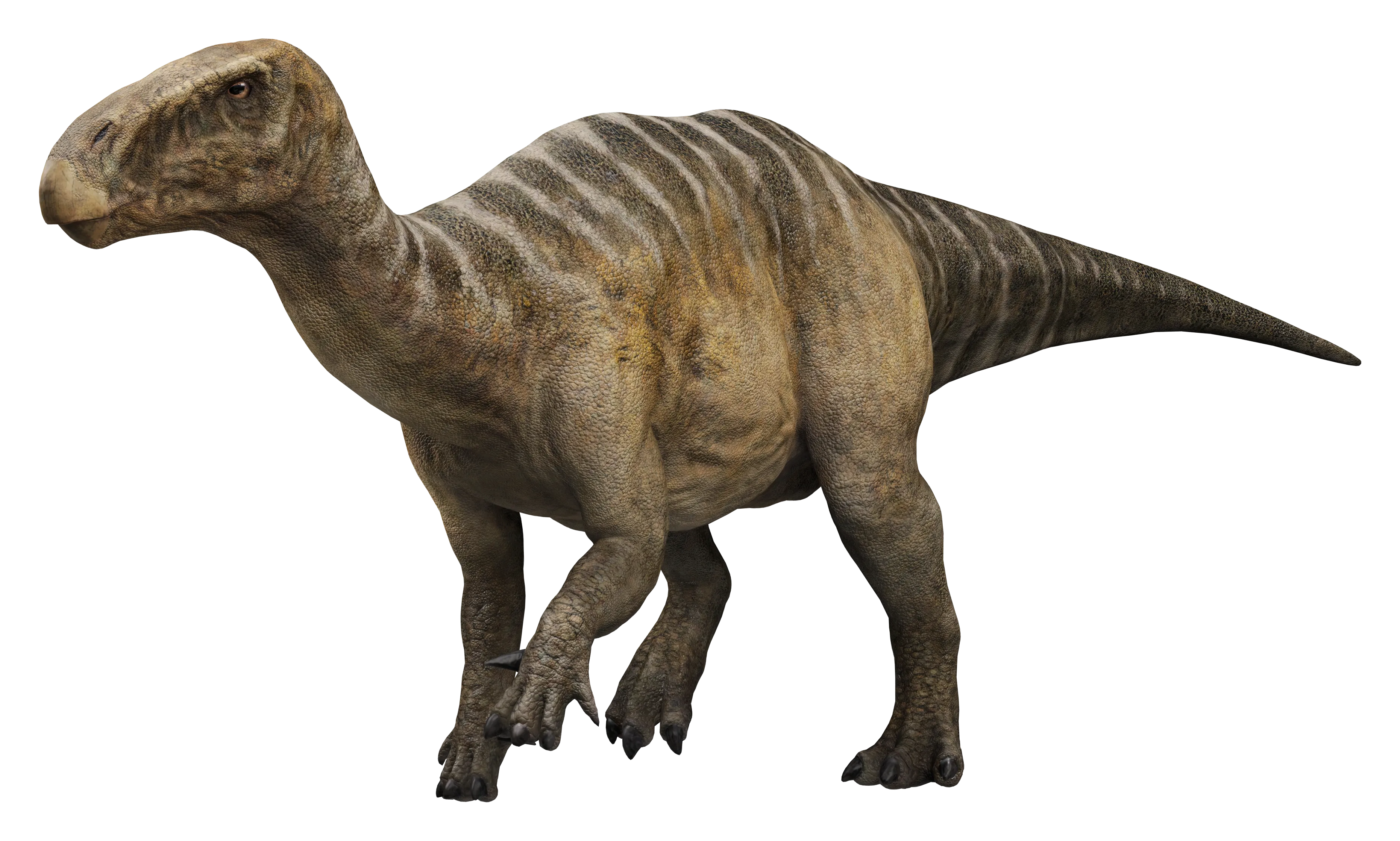 Iguanodon