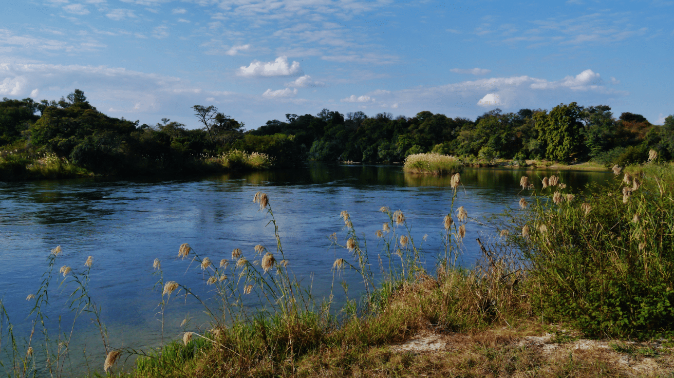 Okavango_River