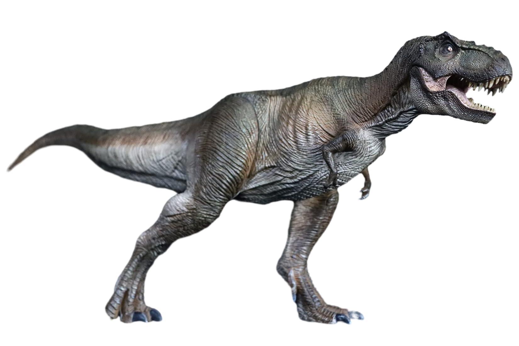 Tyrannosaurus_rex